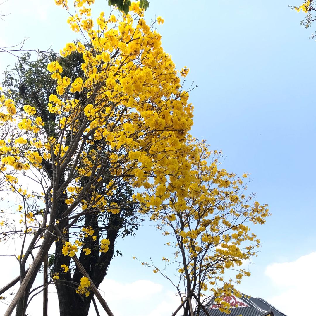 宝贝儿