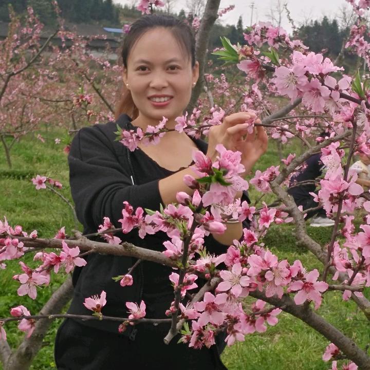 @西米君羊
