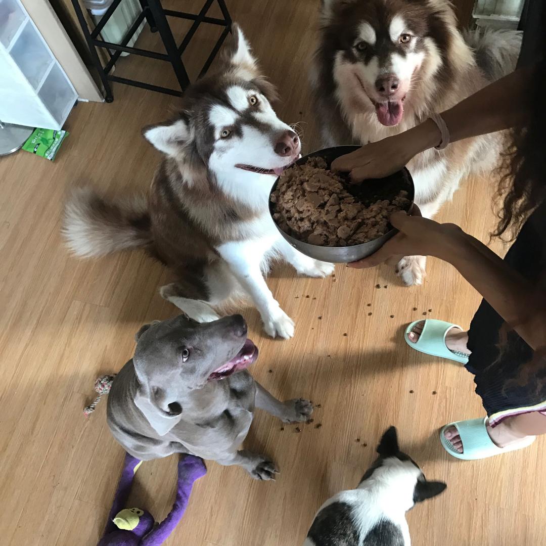 一条一只一条一只一条一只一条一只一只一只