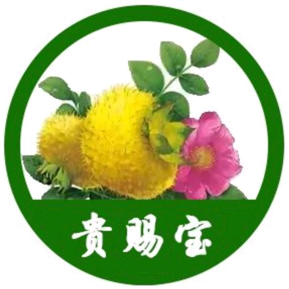 贵赐宝
