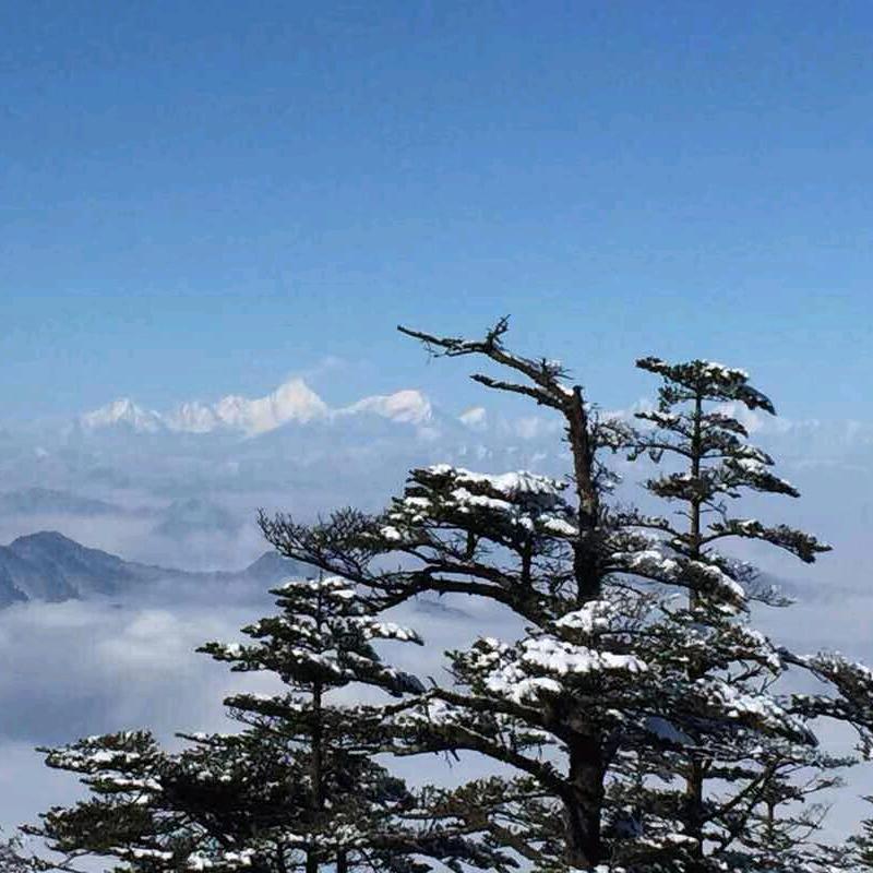 开发公司二哥168