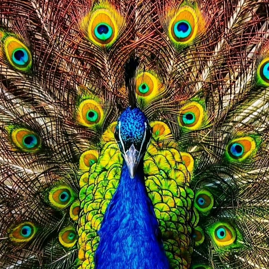 唤醒自我放下我执