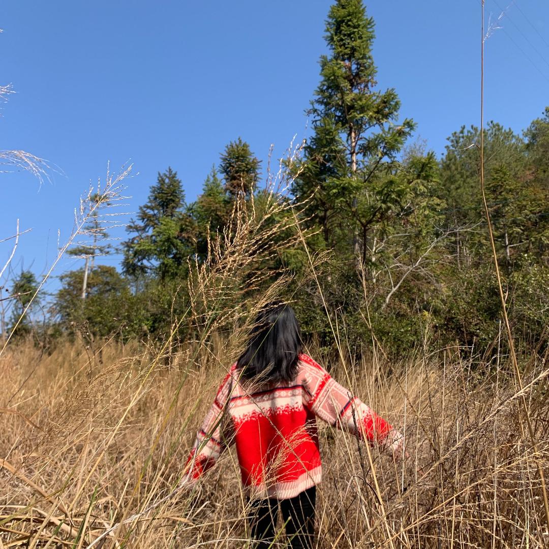 燕