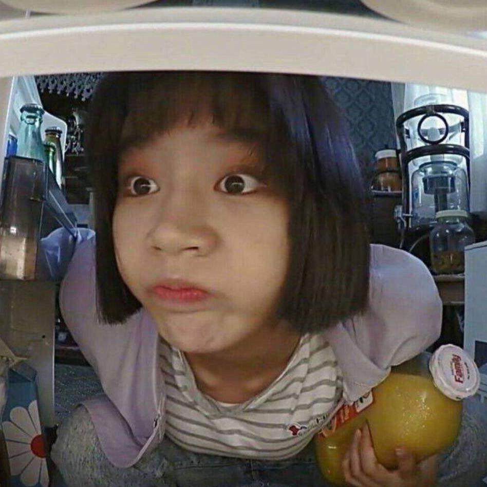木南南