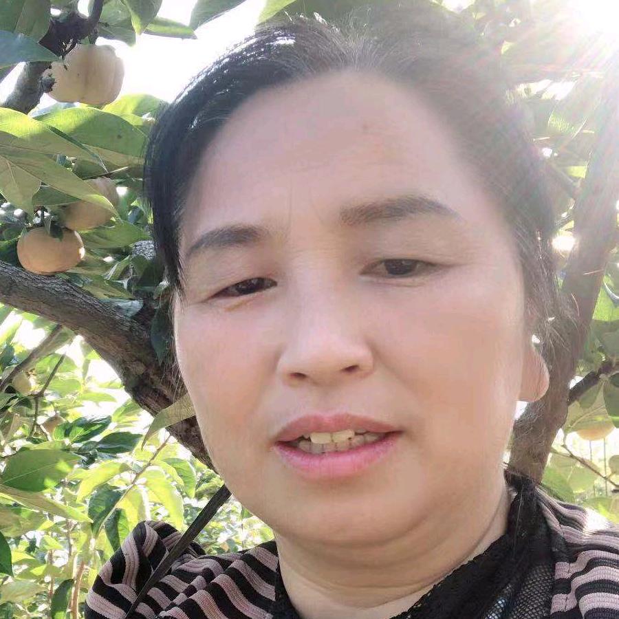 ke.fen科芬