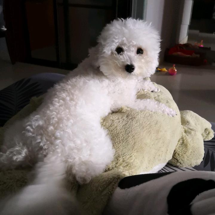 涂大妈的快乐生活