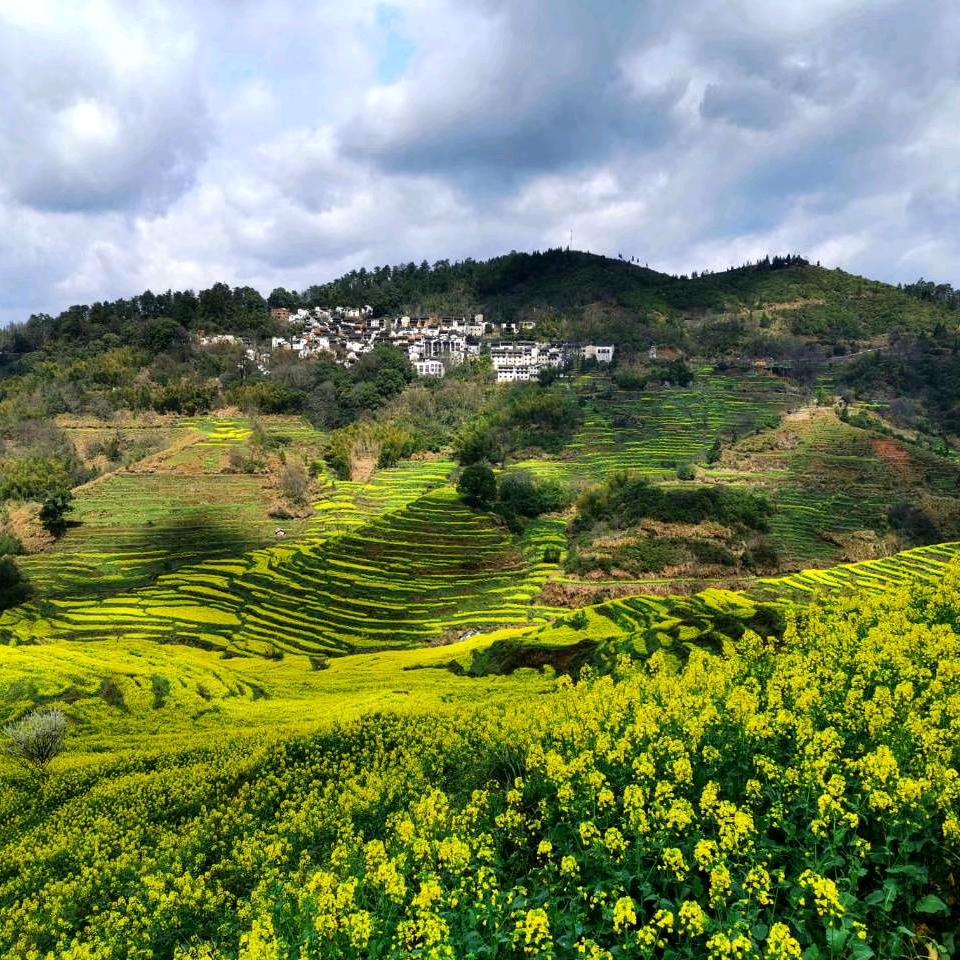 华源索道刘大军