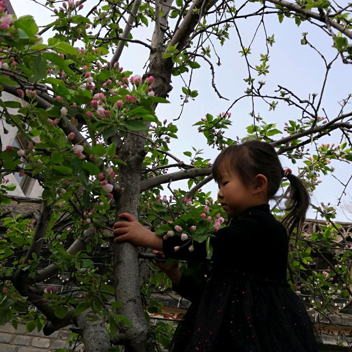 琳琳的家（硬装中）
