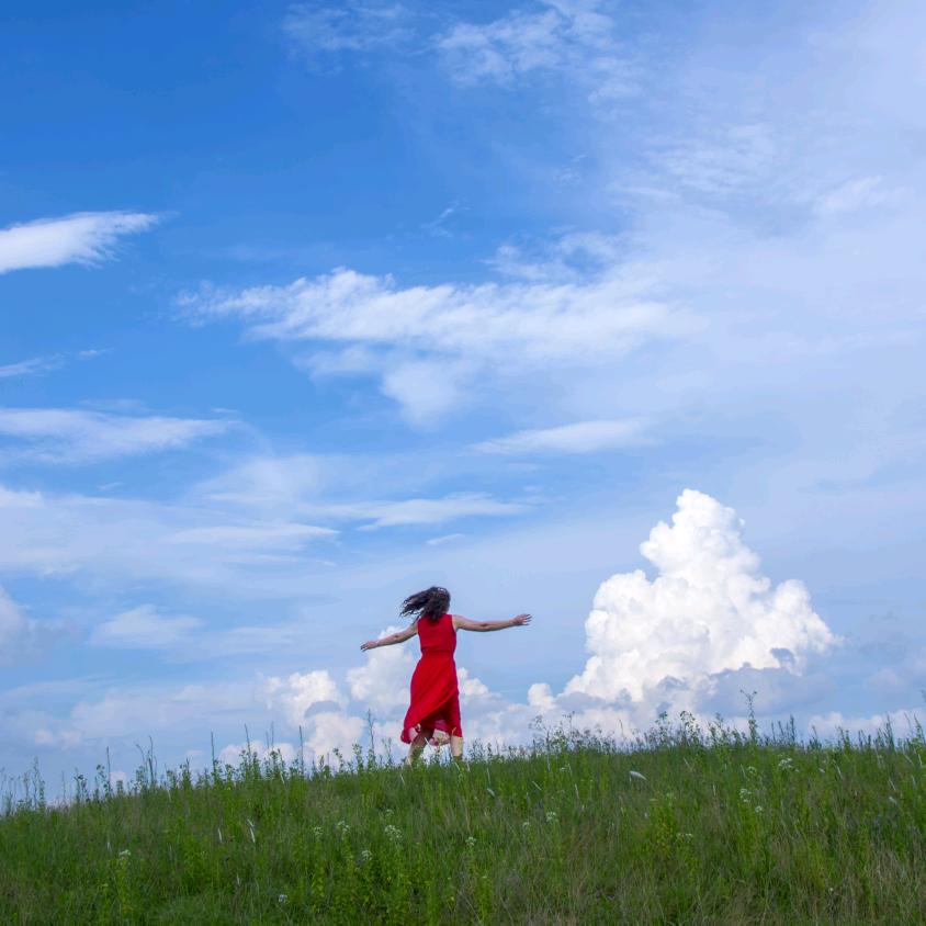 玫瑰花的菜园子