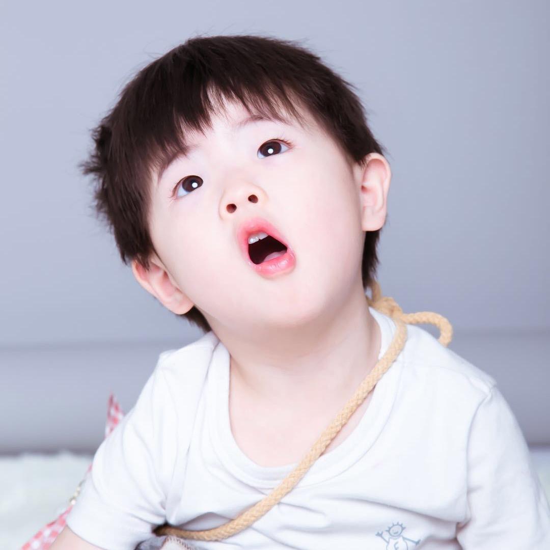 微风拂林
