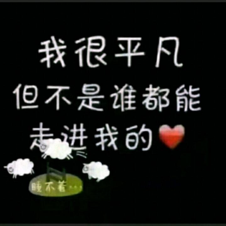 枫叶负故事🕊
