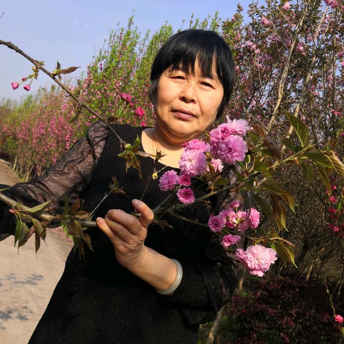 家和萬事興