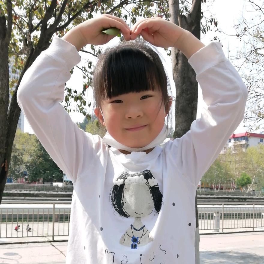 5法5天