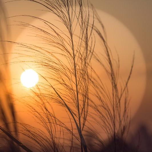 太阳中的彩虹🌈