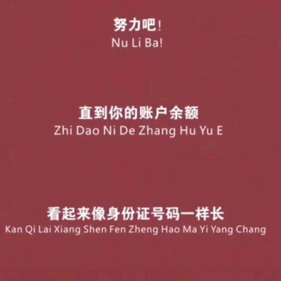 老郑州三鲜烩面(稻香路)