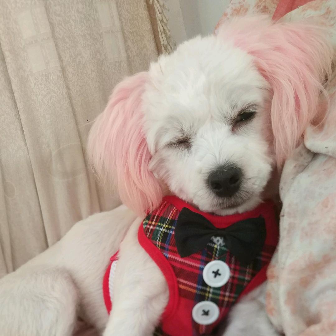 Hi  小黑，我的爱心甜甜圈