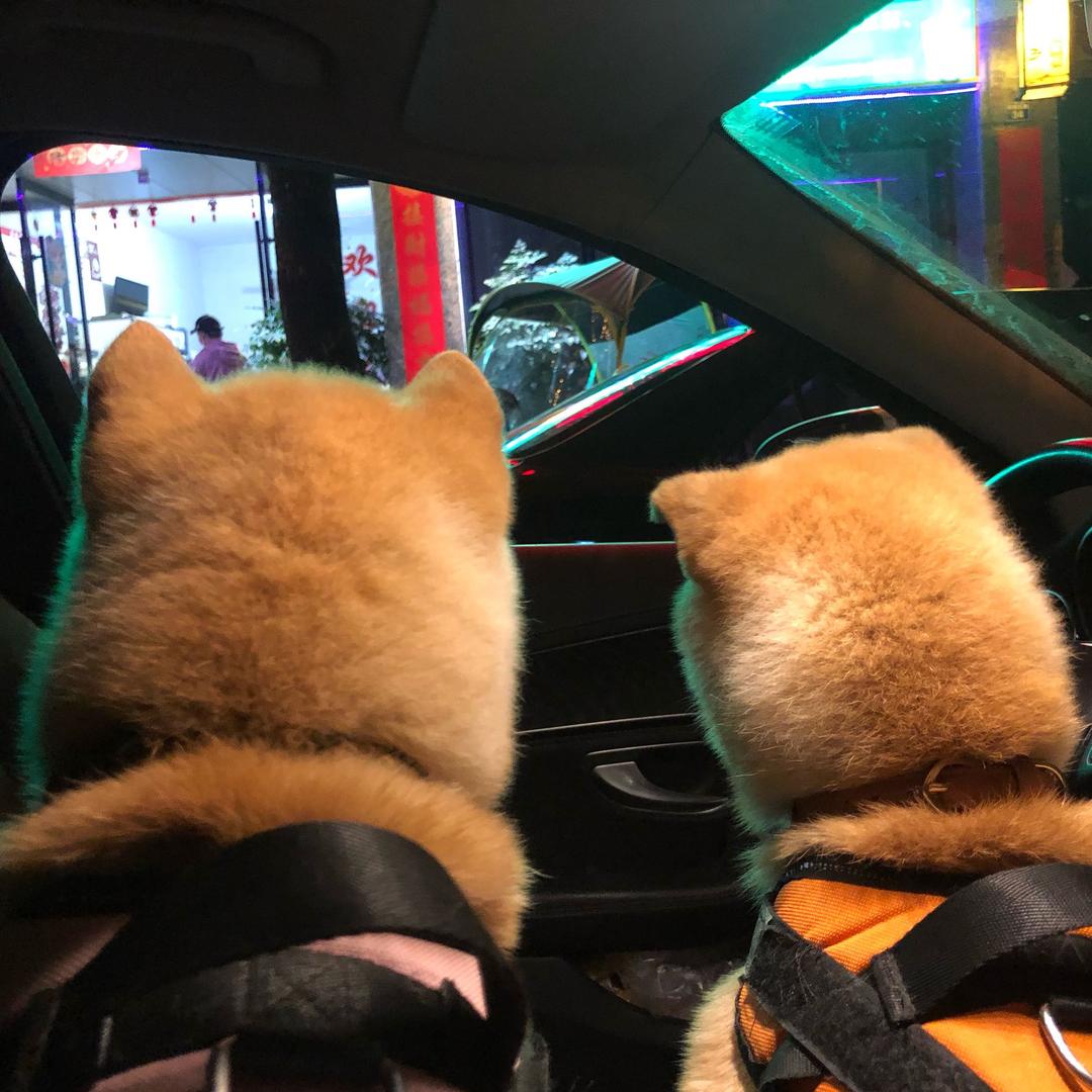 宗介喜欢波妞