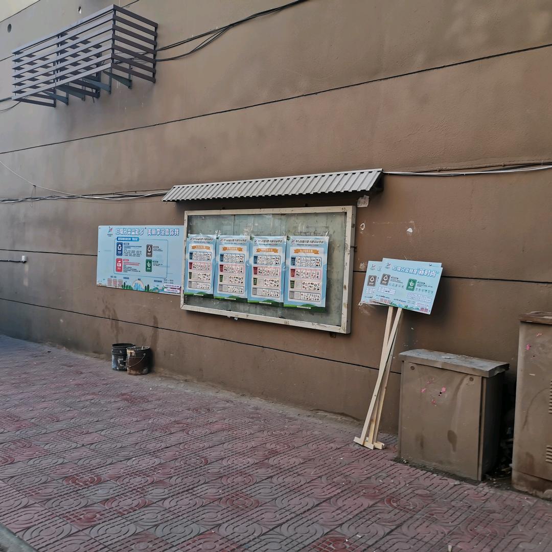 赵在青岛