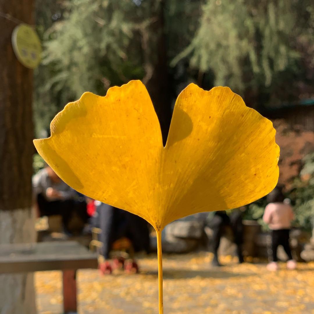 西红柿炒鸡蛋喔