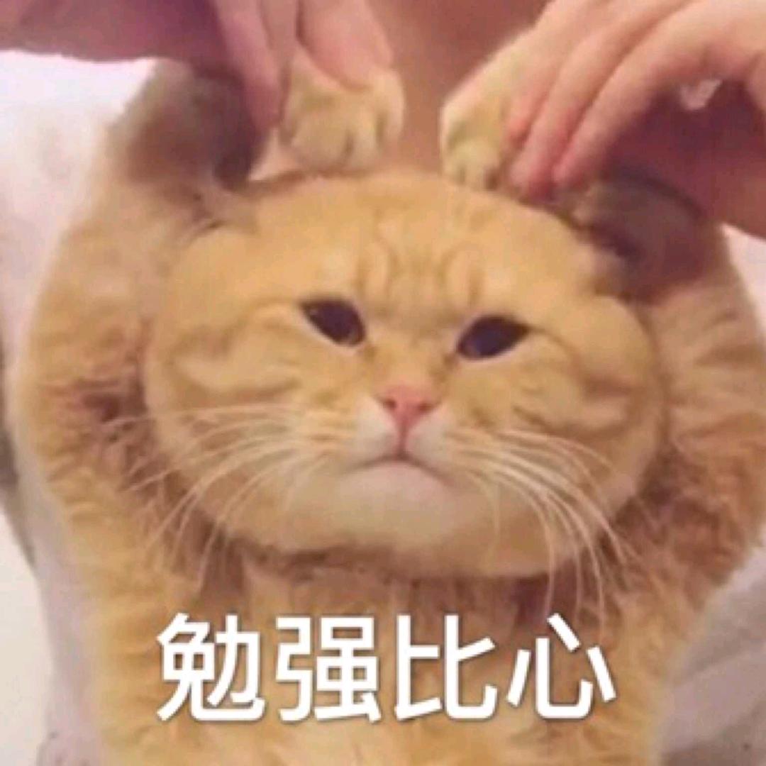🌈未来。