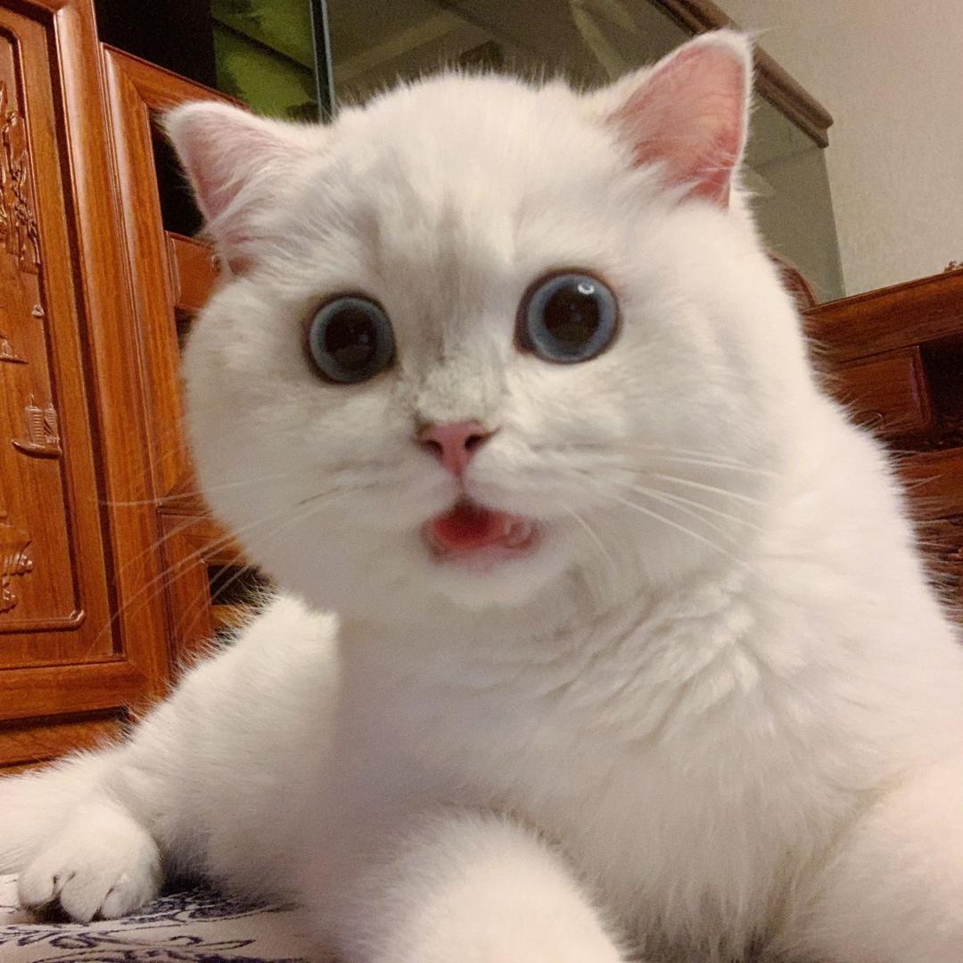 super蒜蒜😼