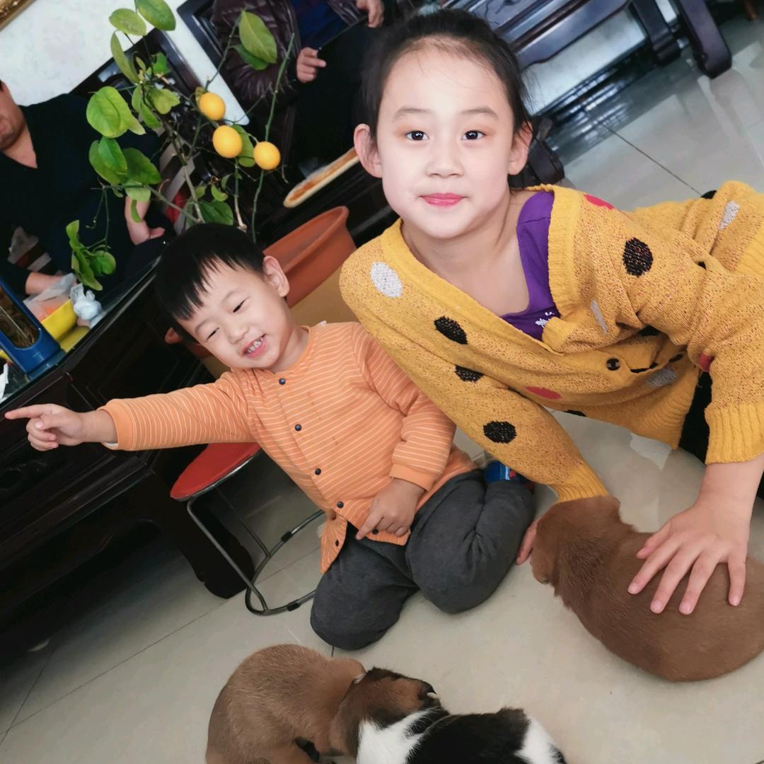 @龙哥吉祥