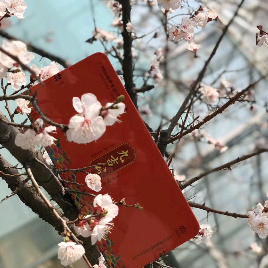 一斗阁茶叶