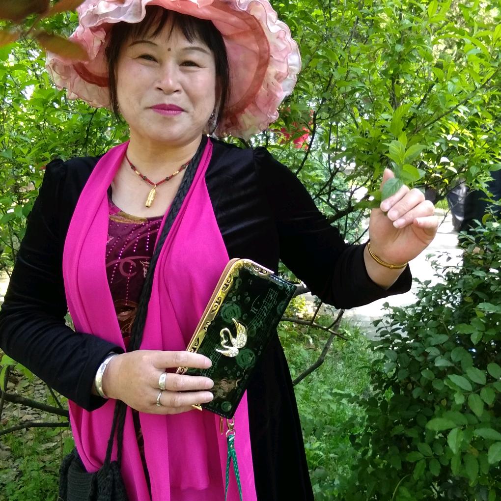 玉龙花