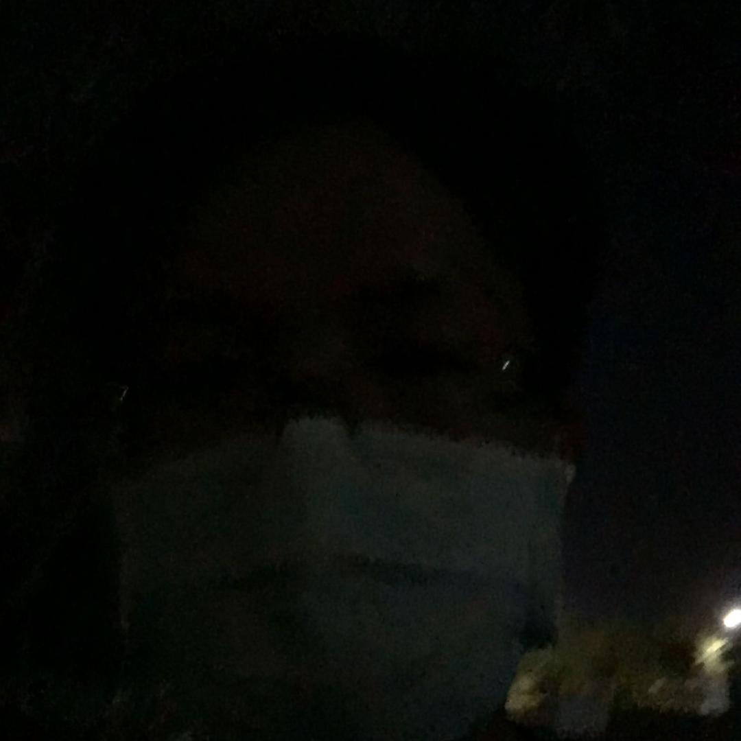 龙龙