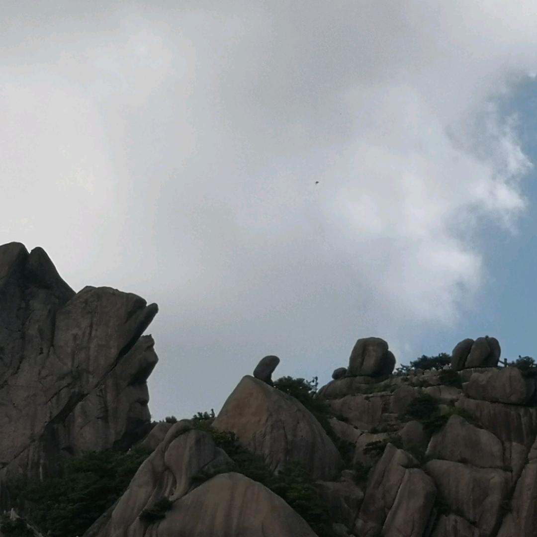叶大律