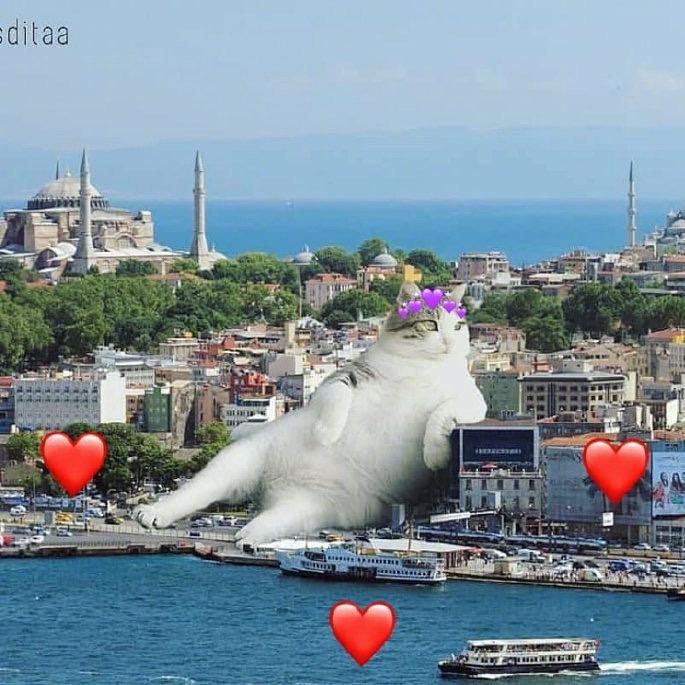 Eliauk