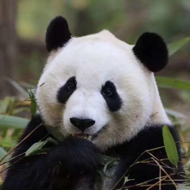 尚善若谁