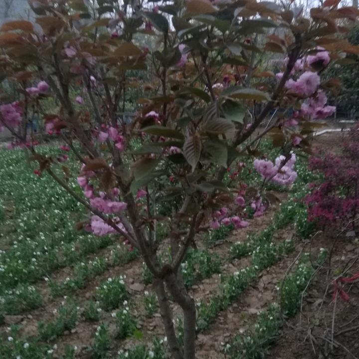 渡来渡去，渡了一天还在原地