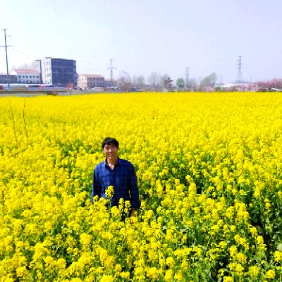花好蜂园