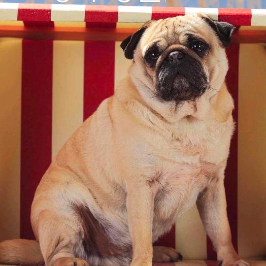 无心คิดถึง