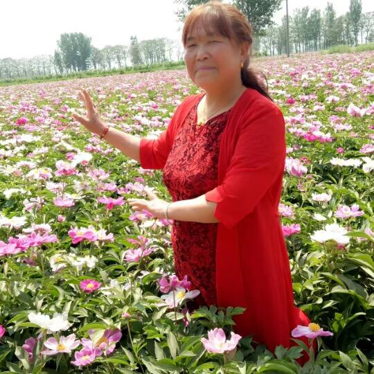 春风送暖