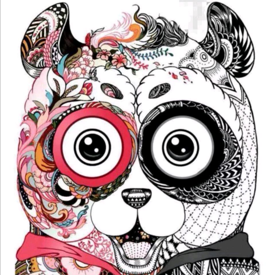 熊猫老师