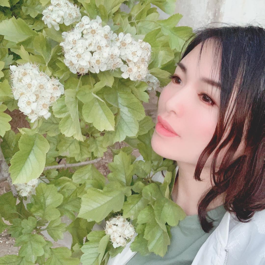 乘风破浪biu