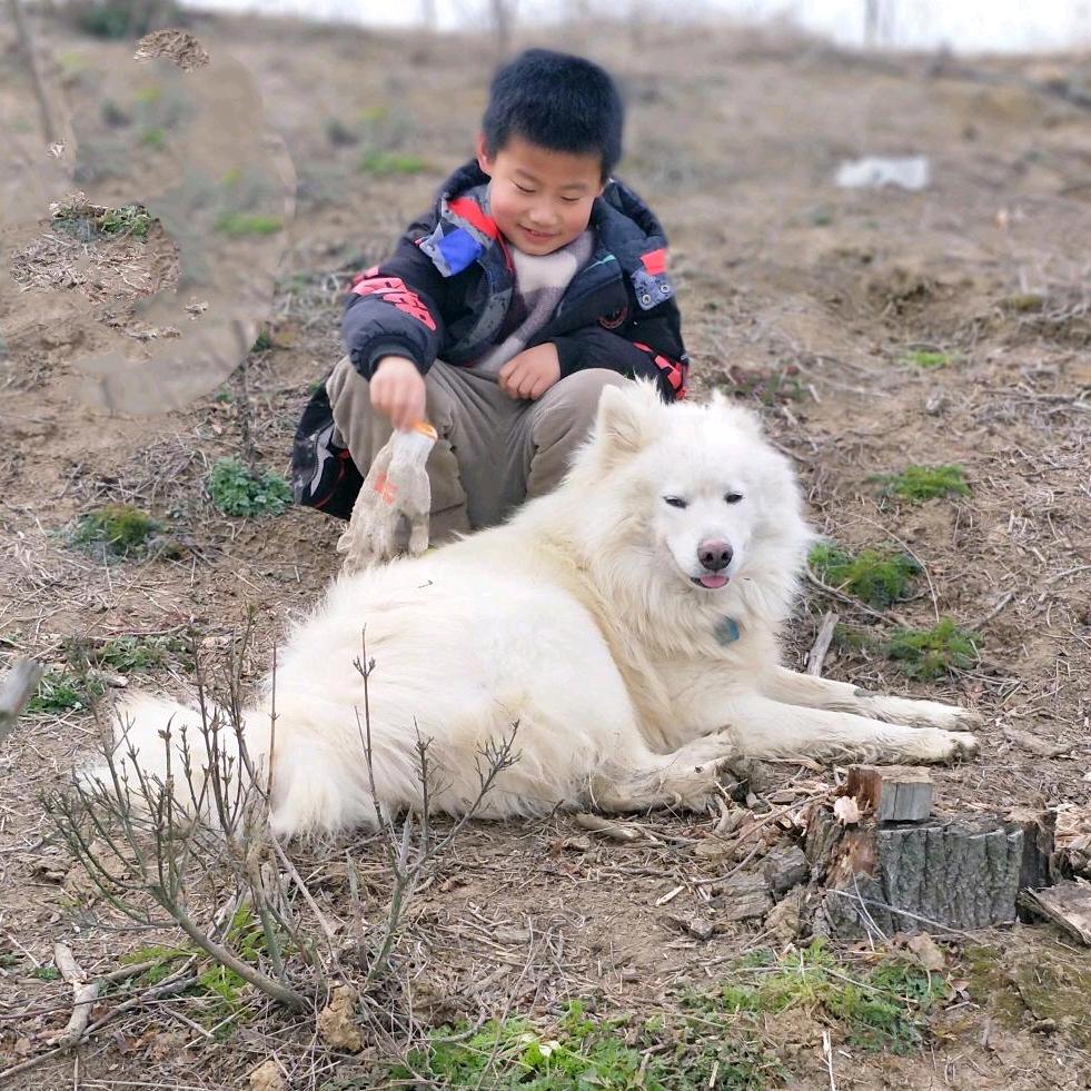 张家姑娘，梁家媳！