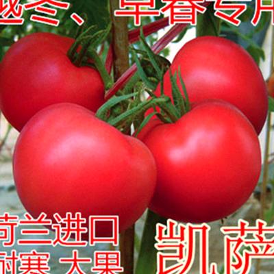 用户87502106红红的明天