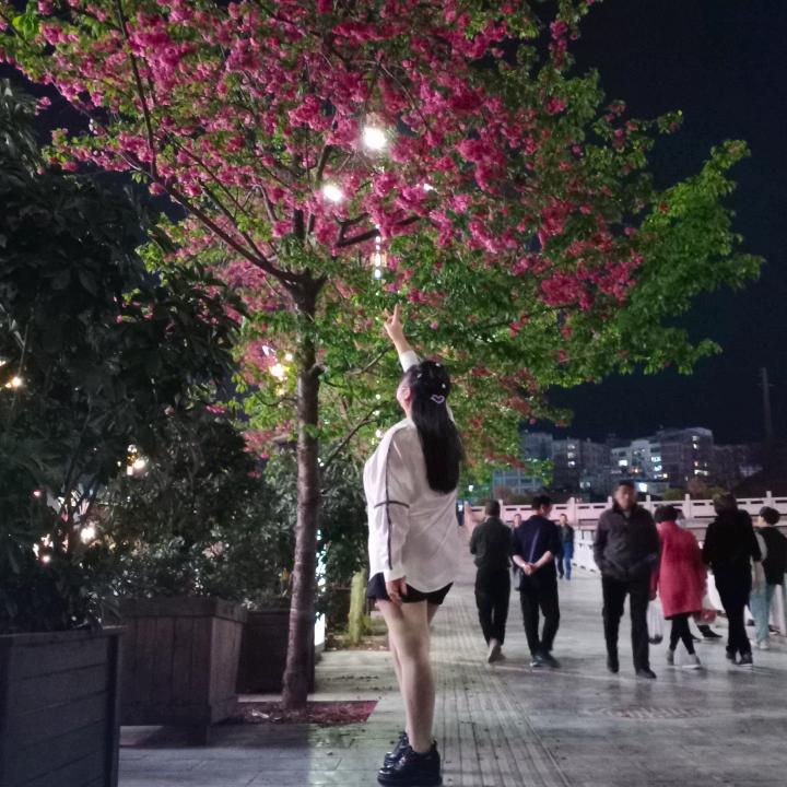 炭烤小肥✌️杨✌️