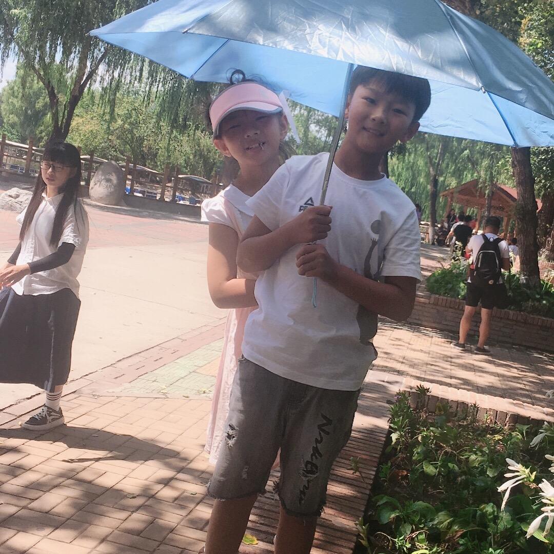 王哲