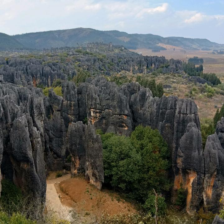 江湖一碗荼，喝完在挣扎