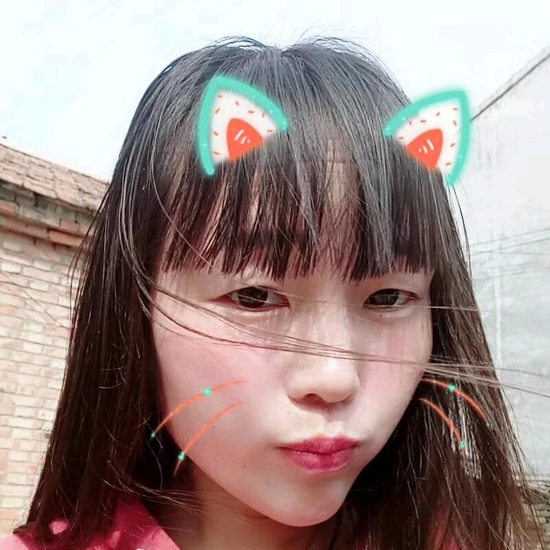 丑 丫 头