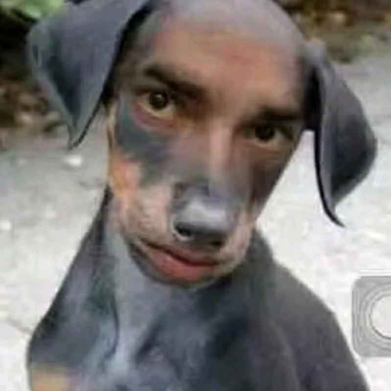 一只有身份的鸡