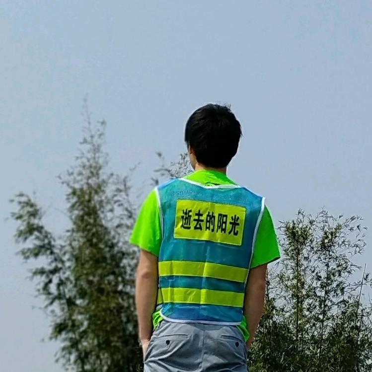 逝去的阳光