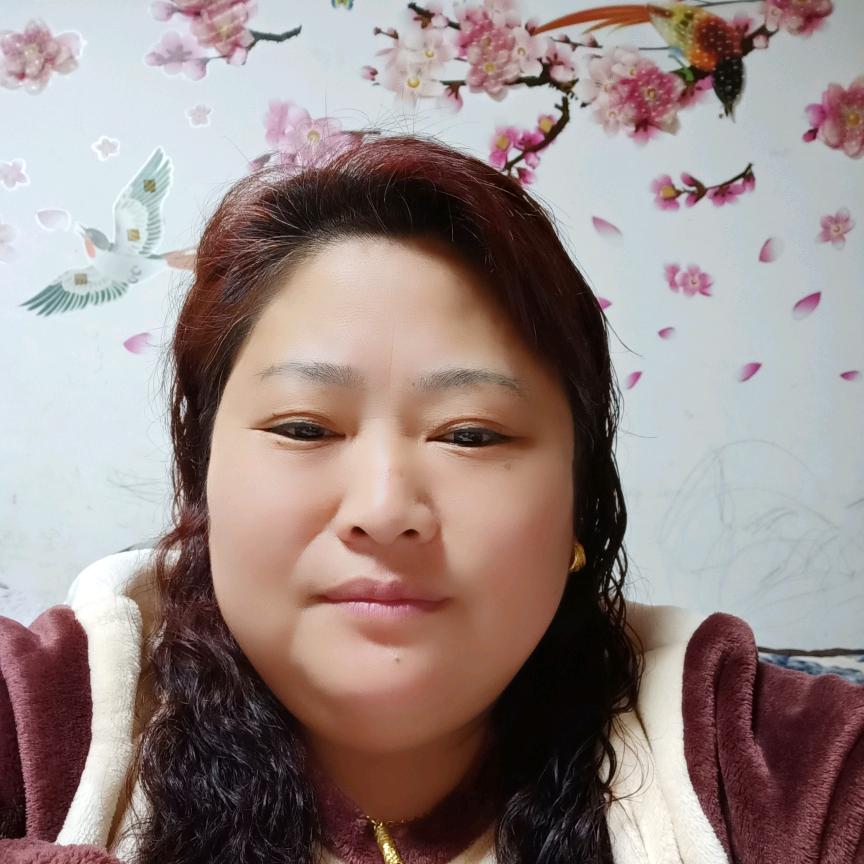 晨木乐