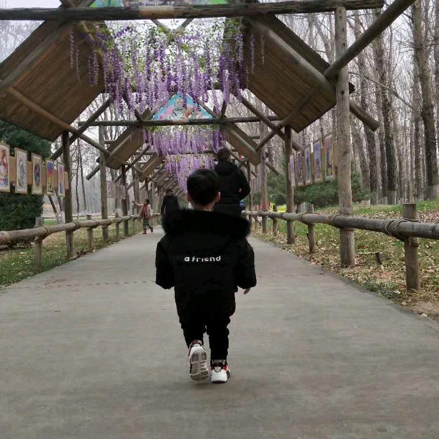 闹闹和珩珩