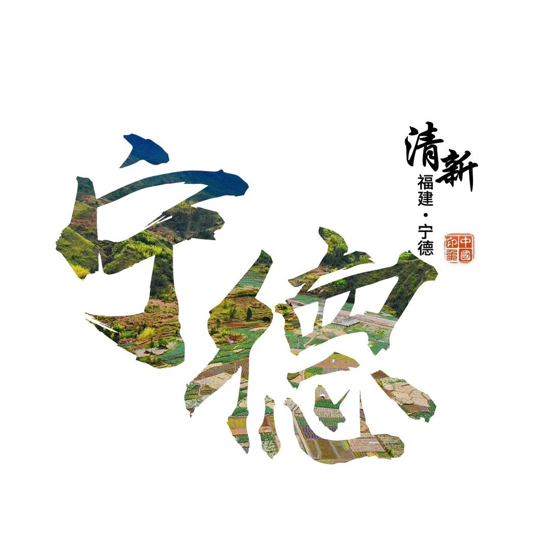 了不起的宁德