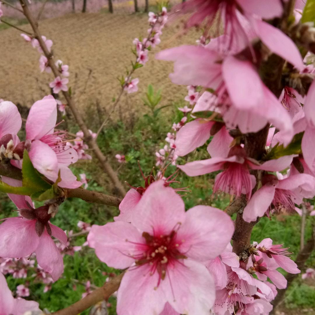 抹不掉的痛又会有谁懂